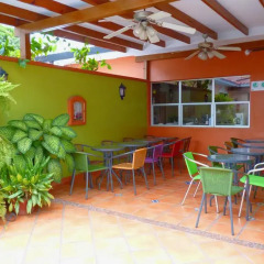 Отель The Green Frog Inn B&B питание
