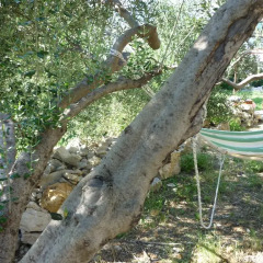 Апартаменты Nature Apartment in Split бассейн