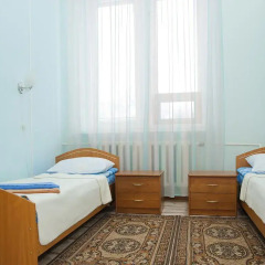 Гостиница Серый Лис Номер Эконом 2 отдельные кровати