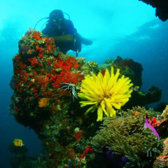 Crown Reef Maldives in North Male Atoll, Maldives from 147$, photos, reviews - zenhotels.com outdoors photo 2