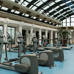 Sheraton Ankara Hotel & Convention Center фитнесс-зал фото 4