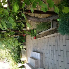 Гостиница Mimoz Guest House фото 5
