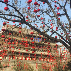 Отель Bell Tower Hotel Xian Китай, Сиань - отзывы, цены и фото номеров - забронировать отель Bell Tower Hotel Xian онлайн спортивное сооружение