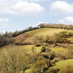 Отель Exmoor Gate Lodges фото 3
