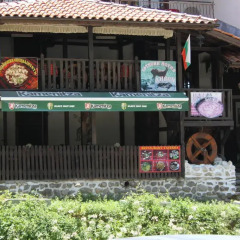 Отель Guest House Chinarite Болгария, Сандански - отзывы, цены и фото номеров - забронировать отель Guest House Chinarite онлайн городской автобус