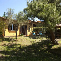 Отель Agriturismo Cerroni Montescudaio Монтескудаио фото 8