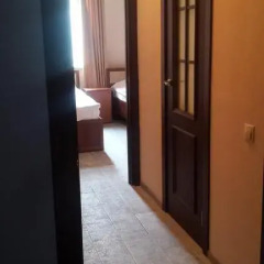 Мини-отель ТарЛеон 2* Стандартный номер с разными типами кроватей фото 46