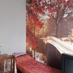 Moscow River Hostel Стандартный номер с различными типами кроватей фото 2