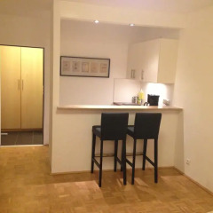 Отель Vienna's Place Apartment Karlsplatz Австрия, Вена - отзывы, цены и фото номеров - забронировать отель Vienna's Place Apartment Karlsplatz онлайн в номере