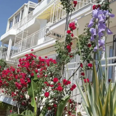 Отель Sun Rose Apartments Черногория, Свети-Стефан - отзывы, цены и фото номеров - забронировать отель Sun Rose Apartments онлайн фото 15