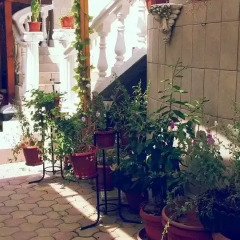 Отель Antik Hotel Болгария, Варна - отзывы, цены и фото номеров - забронировать отель Antik Hotel онлайн интерьер отеля