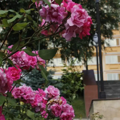 Санаторий Солнечный фото 12