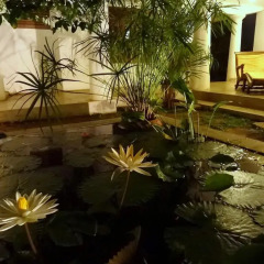 Отель French Lotus Unawatuna Guest House Унаватуна фото 3