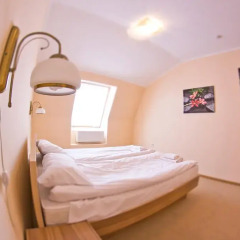 Budget hotel Ekotel комната для гостей фото 6