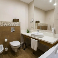 Парк-Отель Кулибин 5* Номер Бизнес разные типы кроватей
