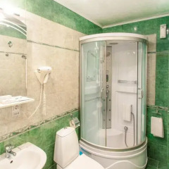 Гостиница Соловьиная роща Номер Комфорт разные типы кроватей фото 16