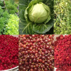 Отель Overvoll Farm Стандартный номер с различными типами кроватей фото 14