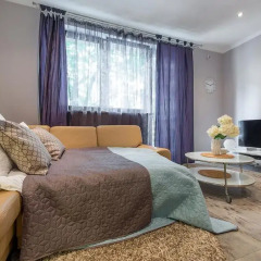 Апартаменты P&O Apartments Powiśle Студия с различными типами кроватей фото 7