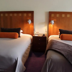 Отель Camino Real Polanco Mexico 4* Стандартный номер с разными типами кроватей фото 7