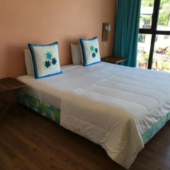 Отель Tahiti Airport Motel Французская Полинезия, Фааа - 1 отзыв об отеле, цены и фото номеров - забронировать отель Tahiti Airport Motel онлайн комната для гостей фото 2
