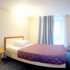 Nevskij Ryad-Pushkinskaya Mini-Hotel Стандартный номер фото 6