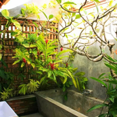 Отель Villa Mangrove Номер Делюкс фото 10