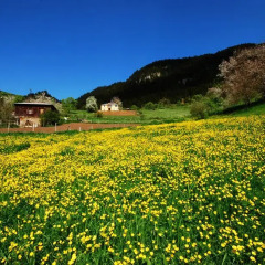 Отель Homestay Süllü Dağ Evi Гиресун фото 14