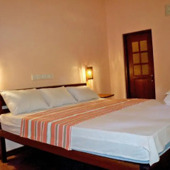 Отель Lavish Eco Jungle 3* Номер Делюкс с различными типами кроватей фото 10
