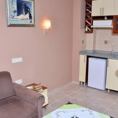 Cekmen Hotel 3* Стандартный номер с различными типами кроватей фото 6