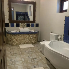 Отель Palm Beach Inn and Sea Shells Cabanas 3* Стандартный номер с различными типами кроватей фото 32