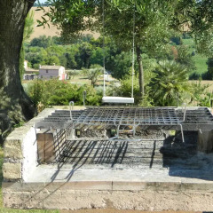 Отель Agriturismo Case al Sole Италия, Лорето - отзывы, цены и фото номеров - забронировать отель Agriturismo Case al Sole онлайн фото 25