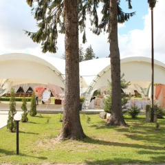 Гостиница Forest Court Беларусь, Могилёв - отзывы, цены и фото номеров - забронировать гостиницу Forest Court онлайн фото 5