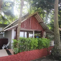 Отель Pine Bungalow 2* Бунгало с различными типами кроватей фото 32