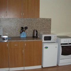 Апартаменты Petal Lotus Apartments on Tsiolkovskogo Апартаменты с разными типами кроватей фото 5