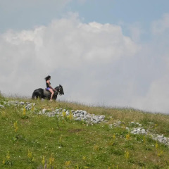 Отель Boskovica Brvnare спортивное сооружение