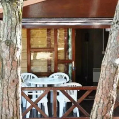 Отель Lisboa Camping Бунгало с различными типами кроватей фото 8