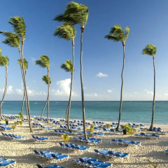Отель Barcelo Dominican Beach All Inclusive Доминикана, Пунта Кана - отзывы, цены и фото номеров - забронировать отель Barcelo Dominican Beach All Inclusive онлайн пляж фото 3