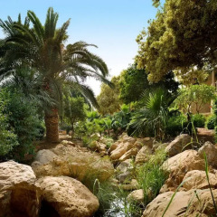 Отель Movenpick Resort & Spa Dead Sea фото 5