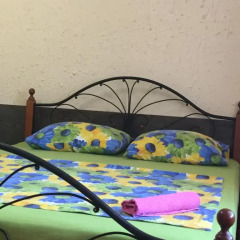 Гостиница Alpic Guest House детские мероприятия фото 2