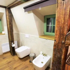 Отель Necton Prague Castle Apartments Чехия, Прага - отзывы, цены и фото номеров - забронировать отель Necton Prague Castle Apartments онлайн ванная фото 2