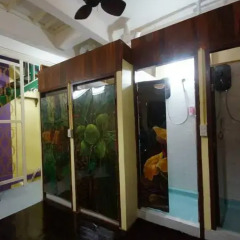 Отель Baan Bovorn Khaosan Кровать в женском общем номере с двухъярусной кроватью фото 9