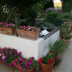 Отель B&B La Casa Bianca Фоссачезия фото 7