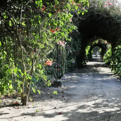 Отель Quinta Da Praia Das Fontes фото 12