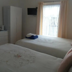 Ardsley Hotel комната для гостей фото 2