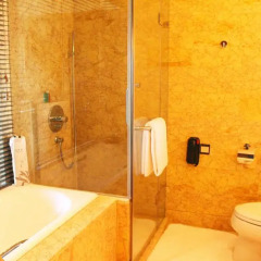 Lake View Hotel 5* Номер Бизнес с 2 отдельными кроватями фото 3