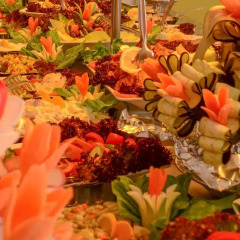 Ark Suite Hotel