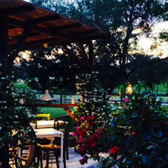 Отель Agriturismo Hornos Нумана фото 3