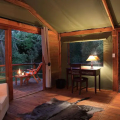 Отель Addo Elephant Back Safaris and Lodge Южная Африка, Аддо - отзывы, цены и фото номеров - забронировать отель Addo Elephant Back Safaris and Lodge онлайн удобства в номере