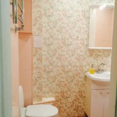 Апартаменты Apartment Vosstaniya 19 Санкт-Петербург ванная