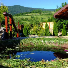 Гостиница Гостинично-оздоровительный комплекс Живая вода фото 4